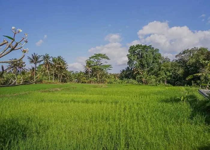 Nayaka Living Villa Ubud