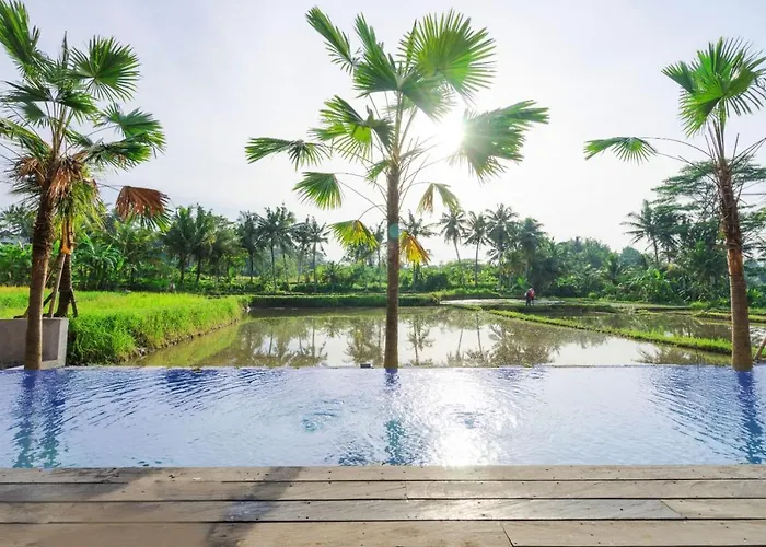Nayaka Living